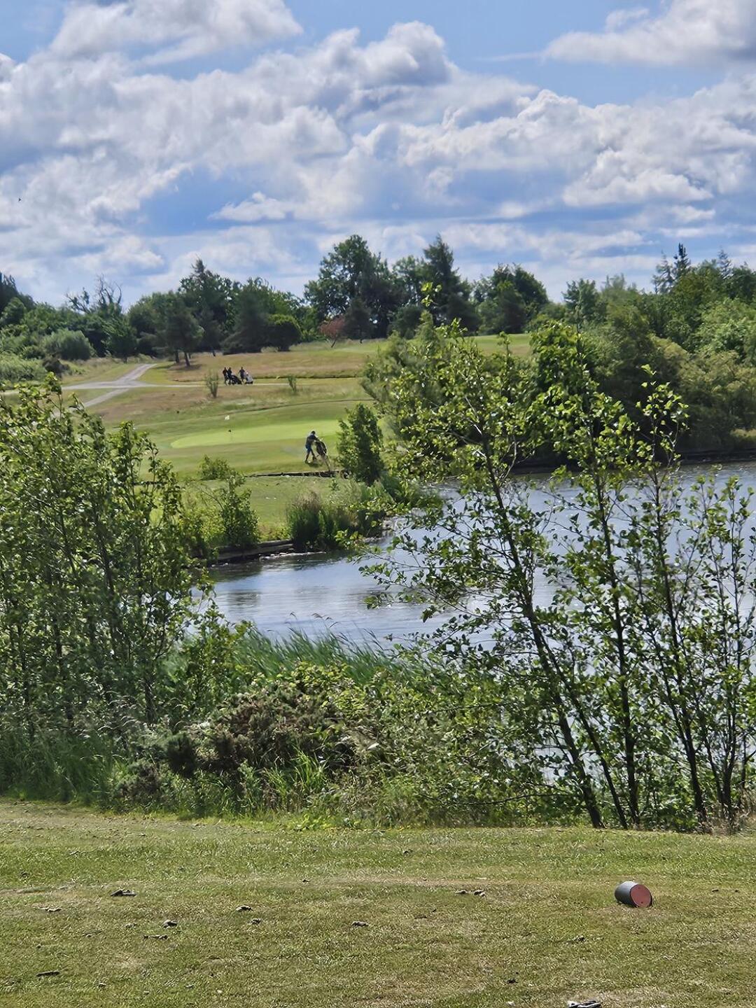 (Photo submitted by tSmH7qpGtybBerZd5cik on 07/04/2025)