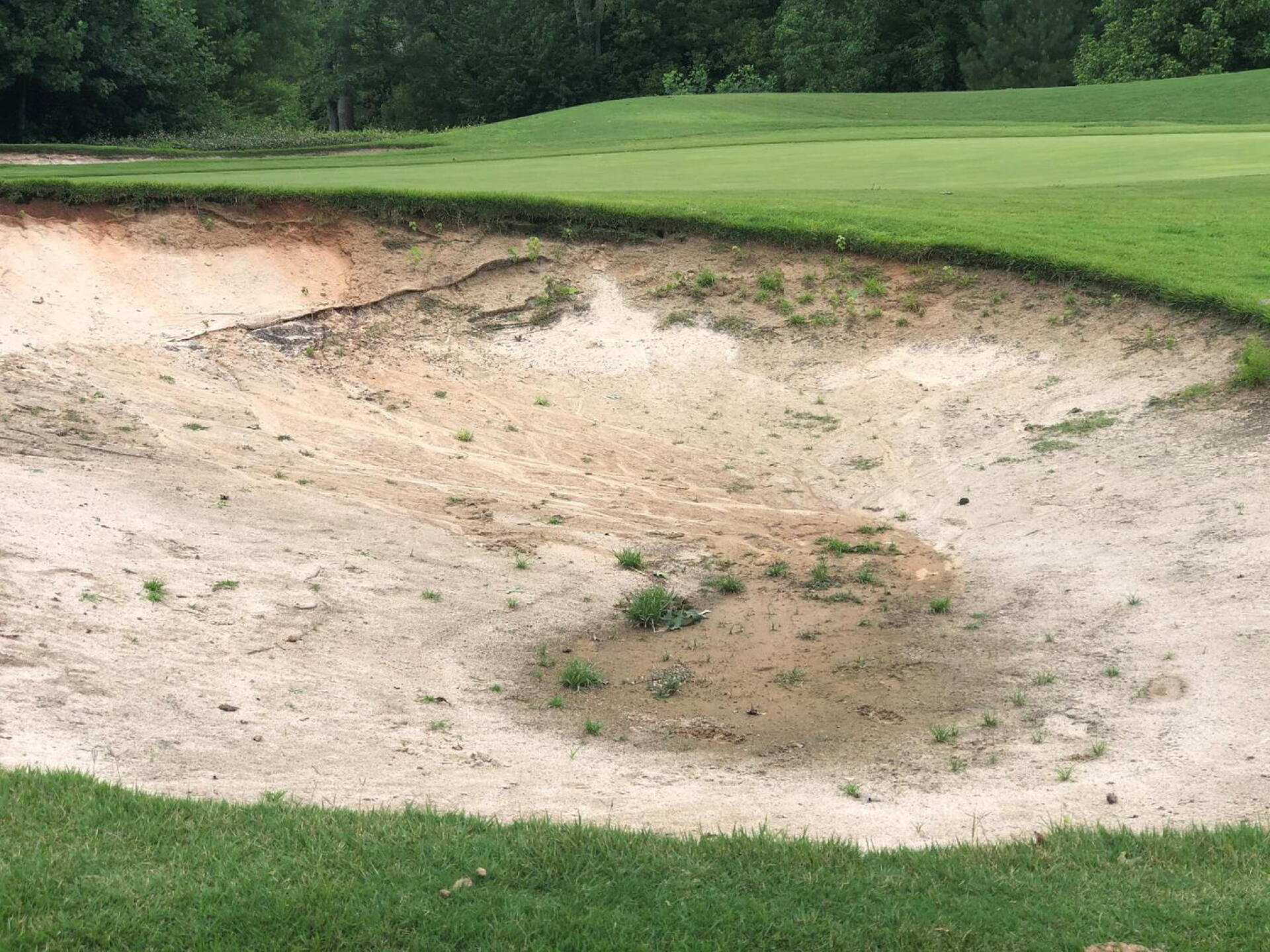 Bunker with a plethora of Weeds (Photo submitted by manderson831 on 06/29/2020)