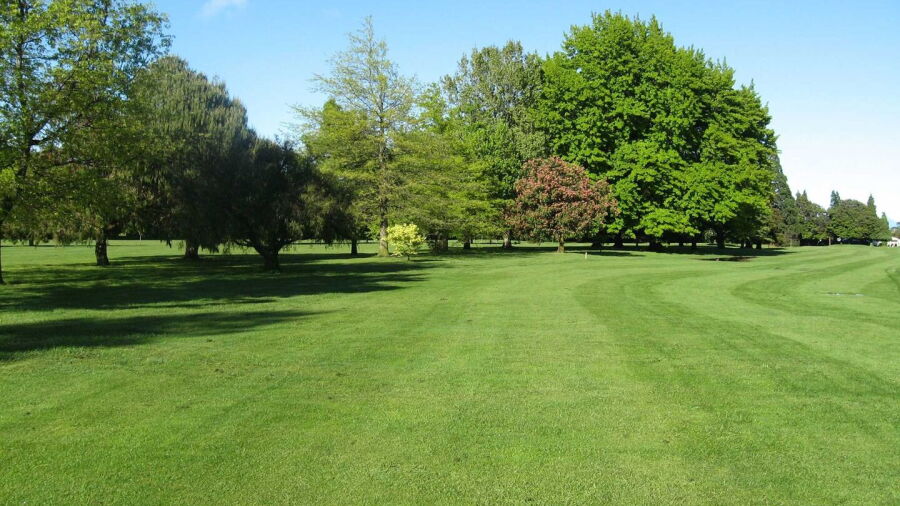 Blenheim GC