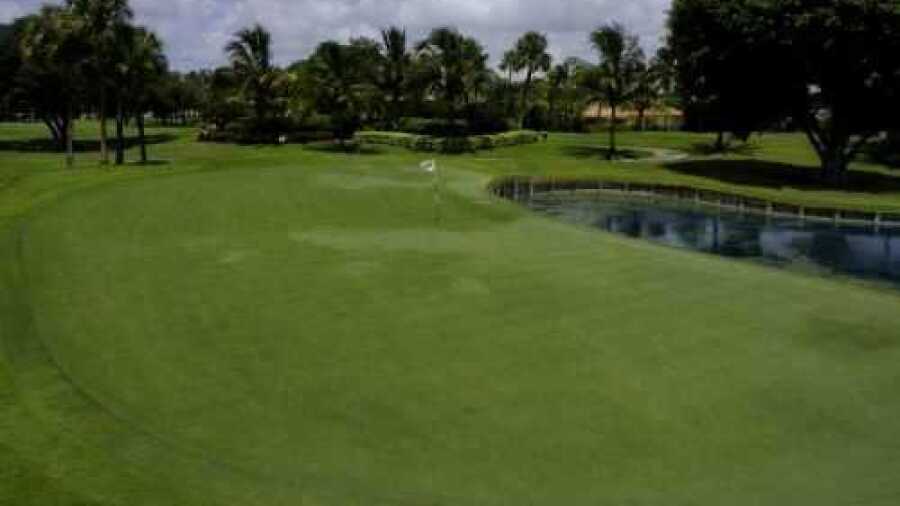 Blue at Delaire CC: #8