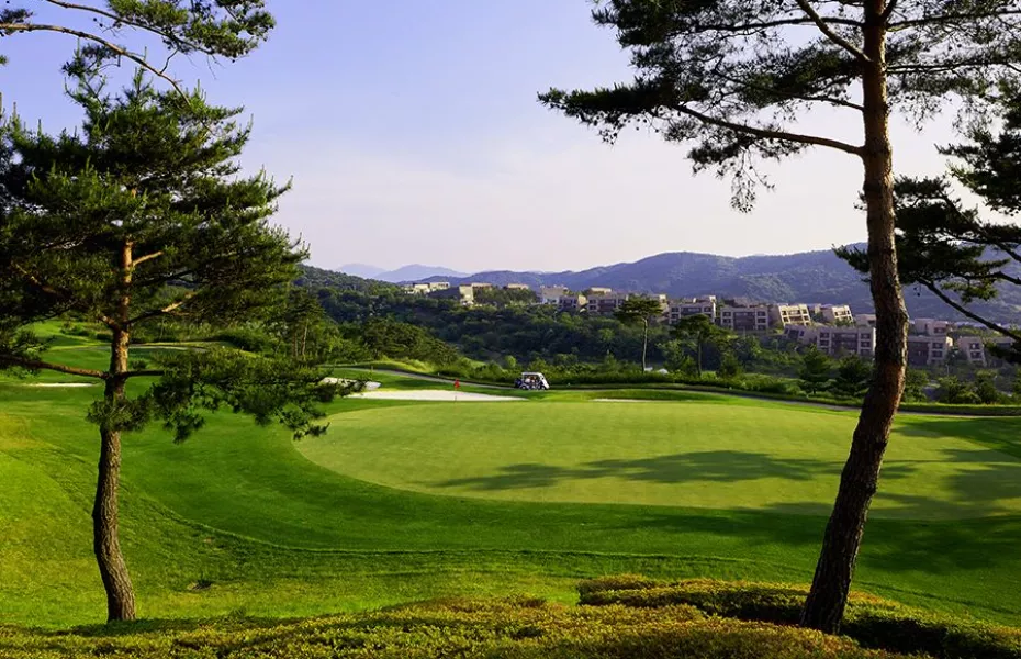 Blue One The Honors CC