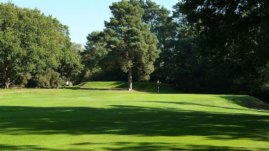 Puttenham GC: #5