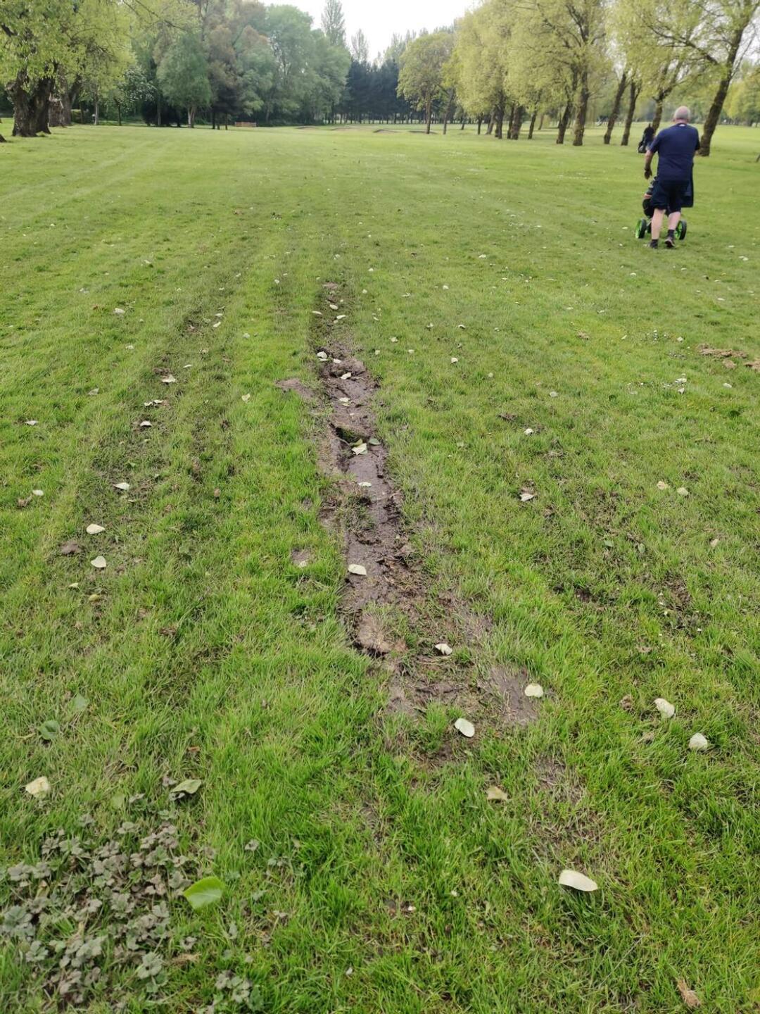 (Photo submitted by Carljr83 on 05/11/2024)