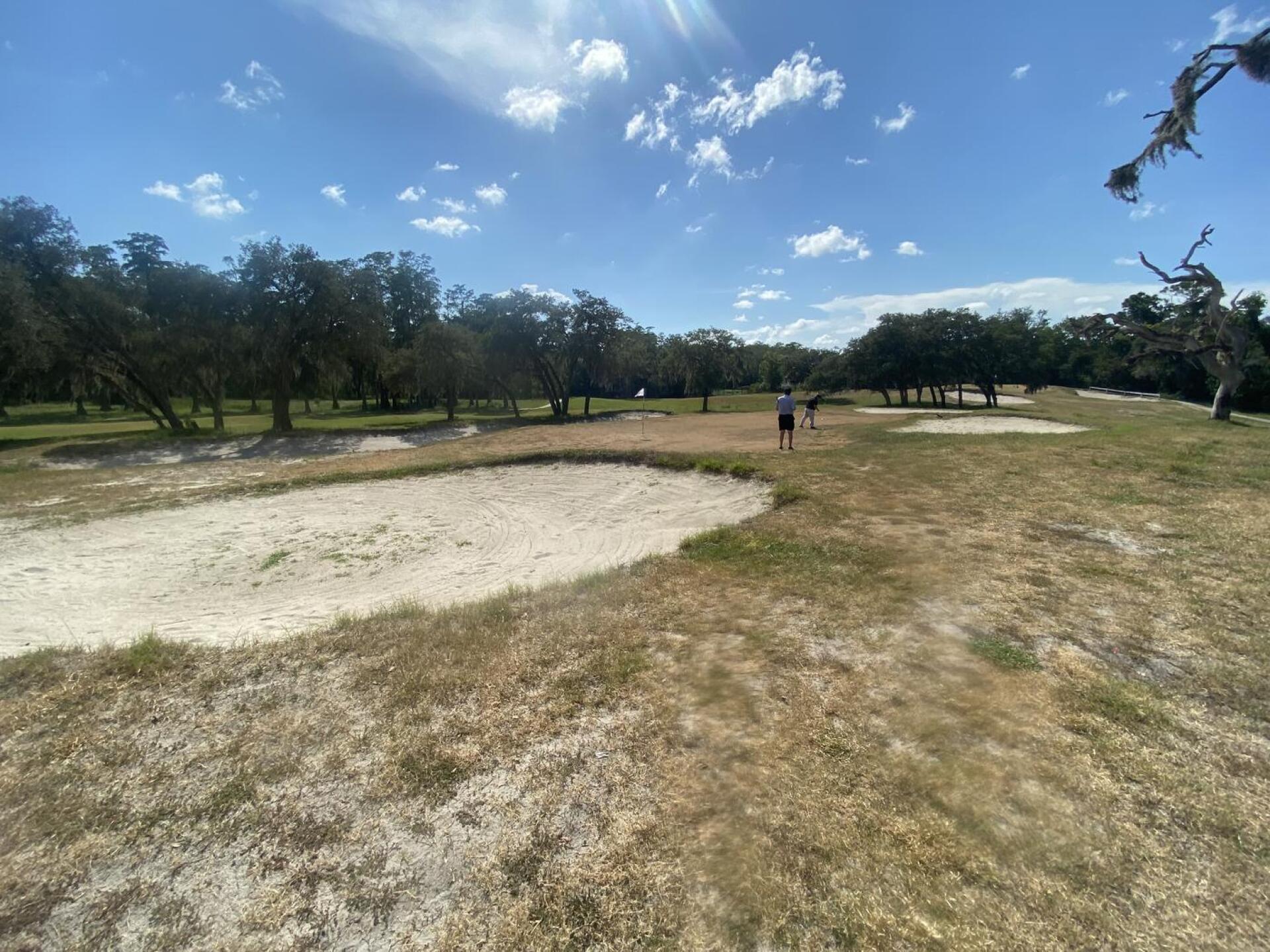 (Photo submitted by u314163617470 on 10/29/2025)