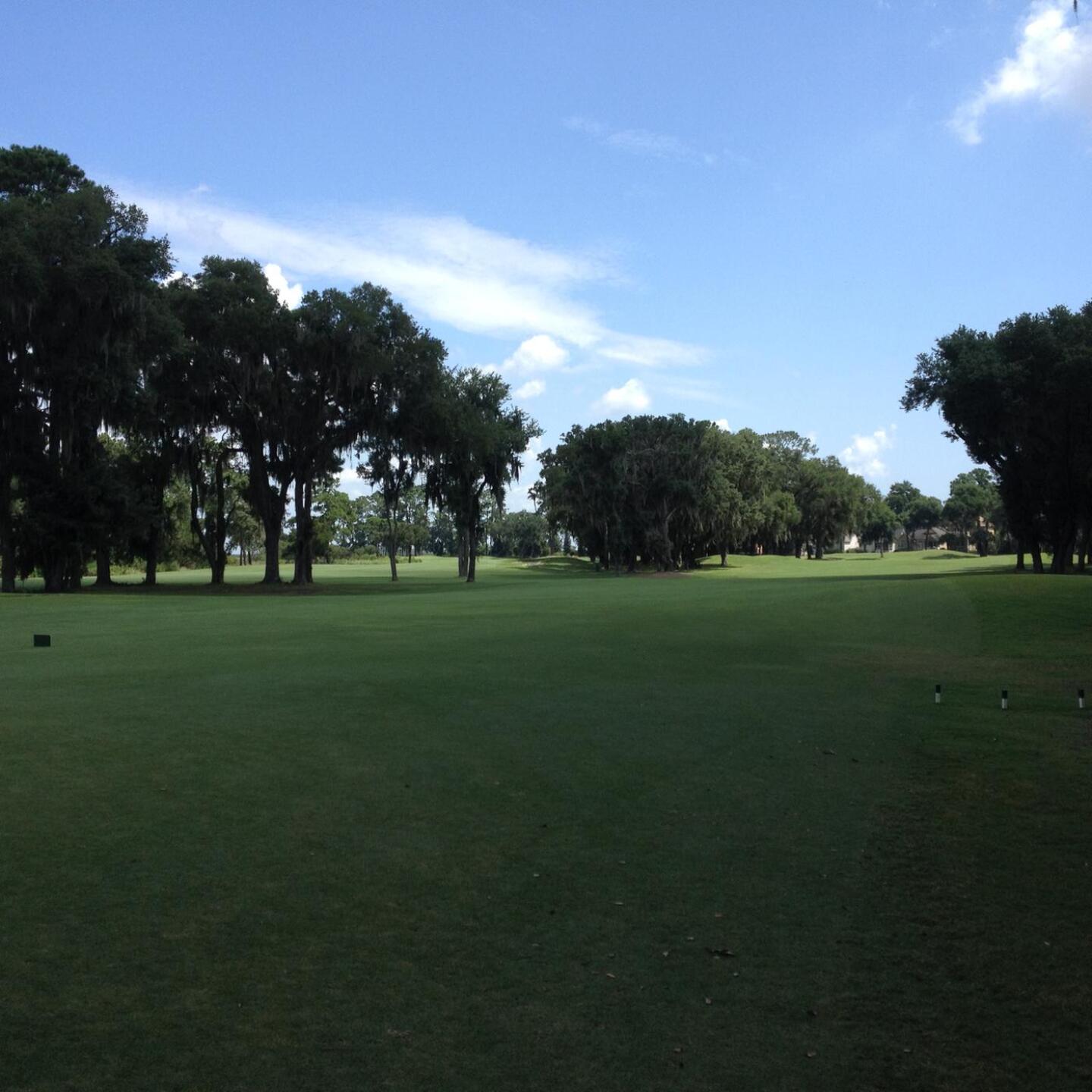 Among the oaks... (Photo submitted by SeamusMaccDuff on 07/08/2015)