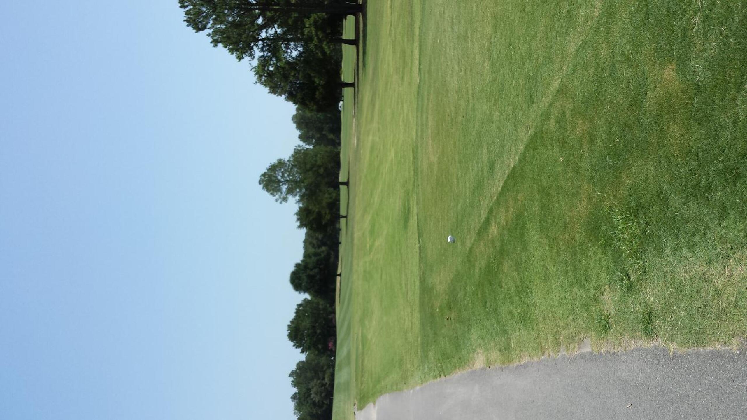 (Photo submitted by MBDNSC on 07/12/2015)