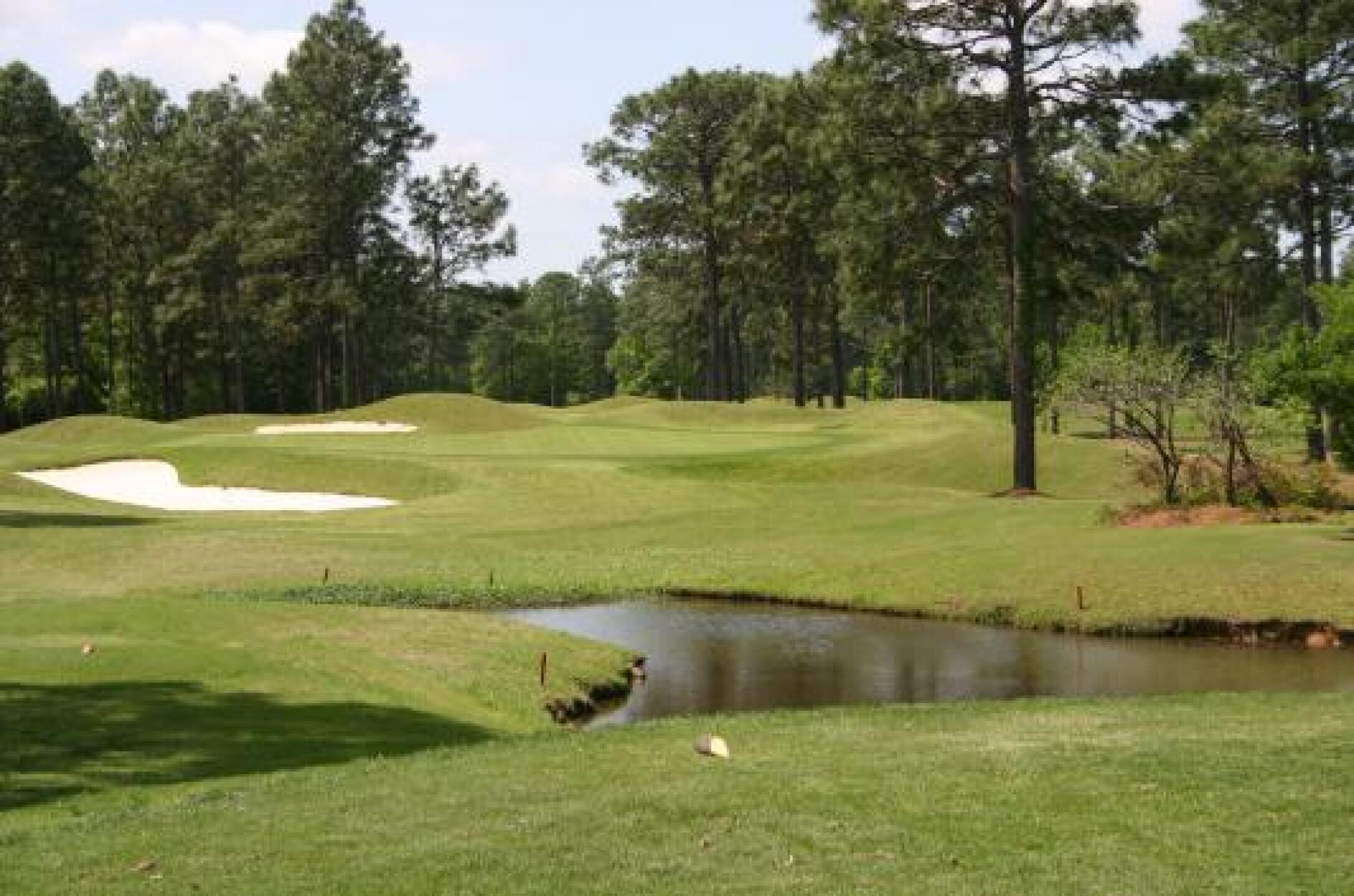 5th Hole, Par 3 (Photo submitted by tomumps2000 on 04/22/2013)