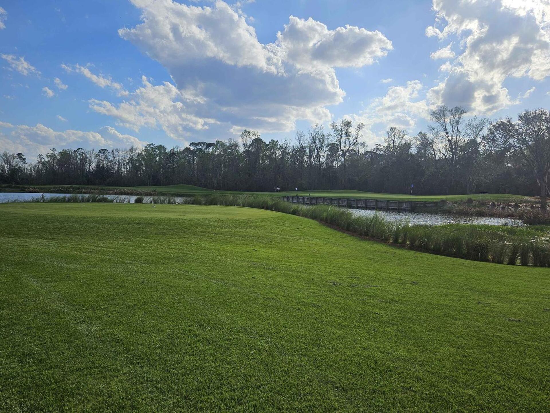 (Photo submitted by u314161622535 on 02/12/2025)