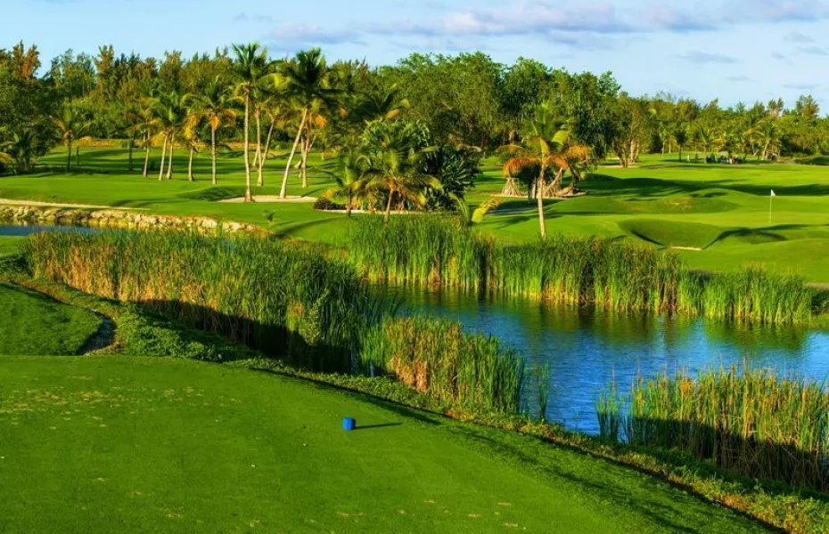 Lakes at Barcelo Bavaro GC: #3