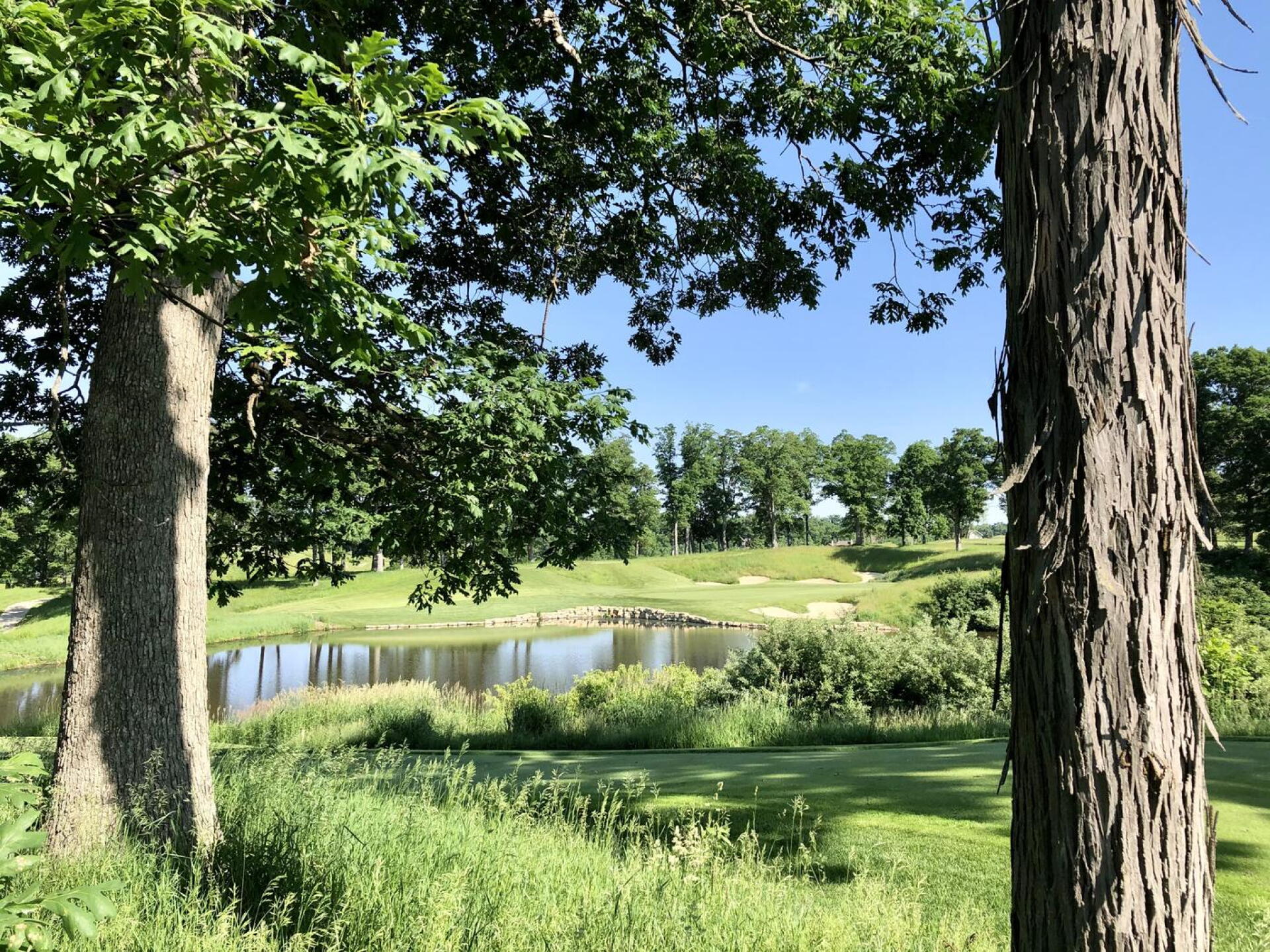 Par-3 15th hole (Photo submitted by BrandonWebb on 06/04/2021)
