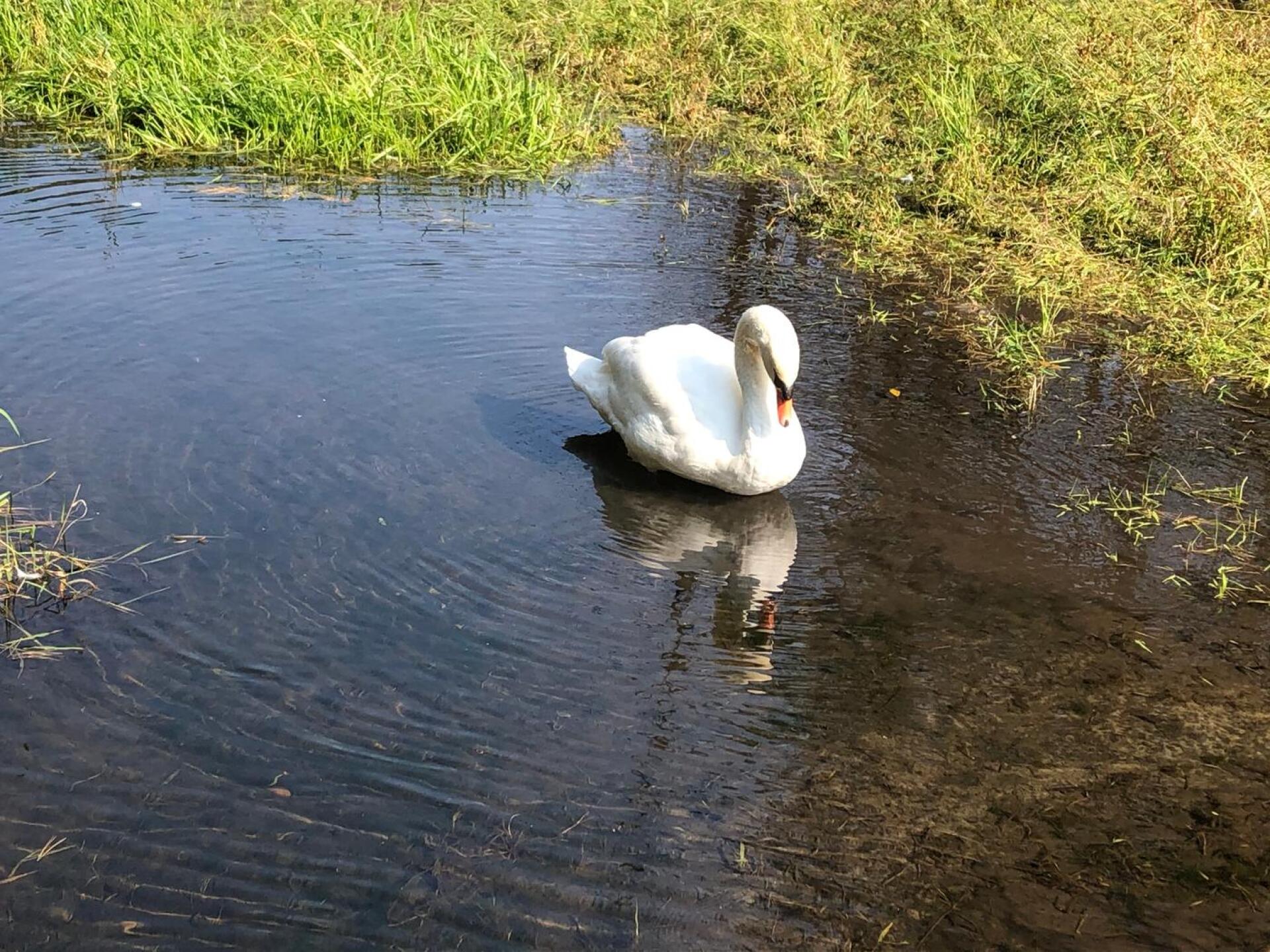 (Photo submitted by Redmarker on 10/09/2020)