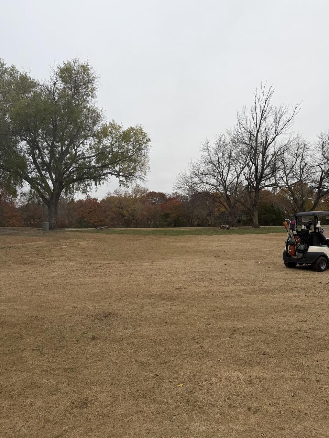 (Photo submitted by Bsherwood1 on 12/23/2025)