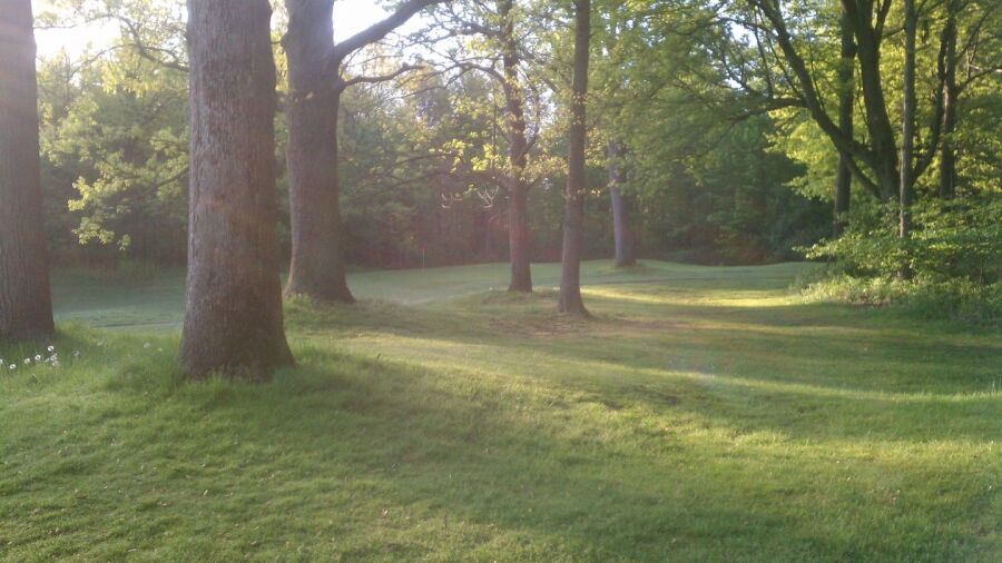 Mueller's Valley View Farm GC: #8