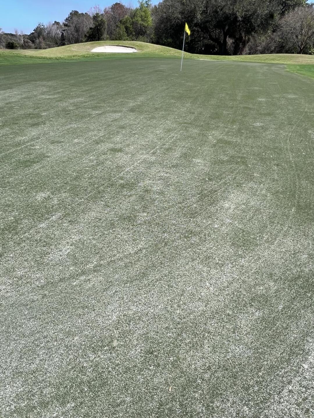 (Photo submitted by NReed99 on 03/10/2026)