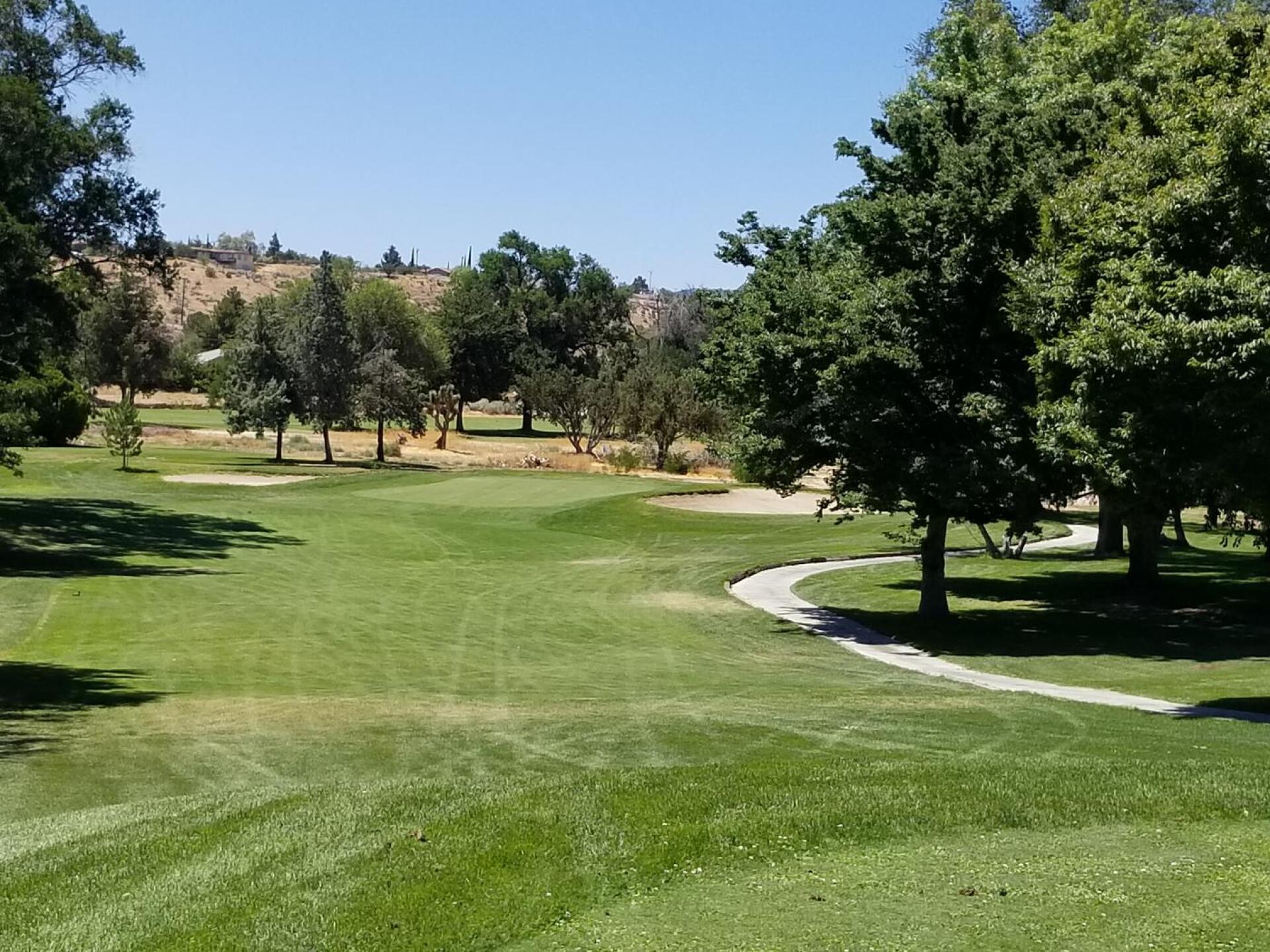 (Photo submitted by rdenson on 12/27/2020)