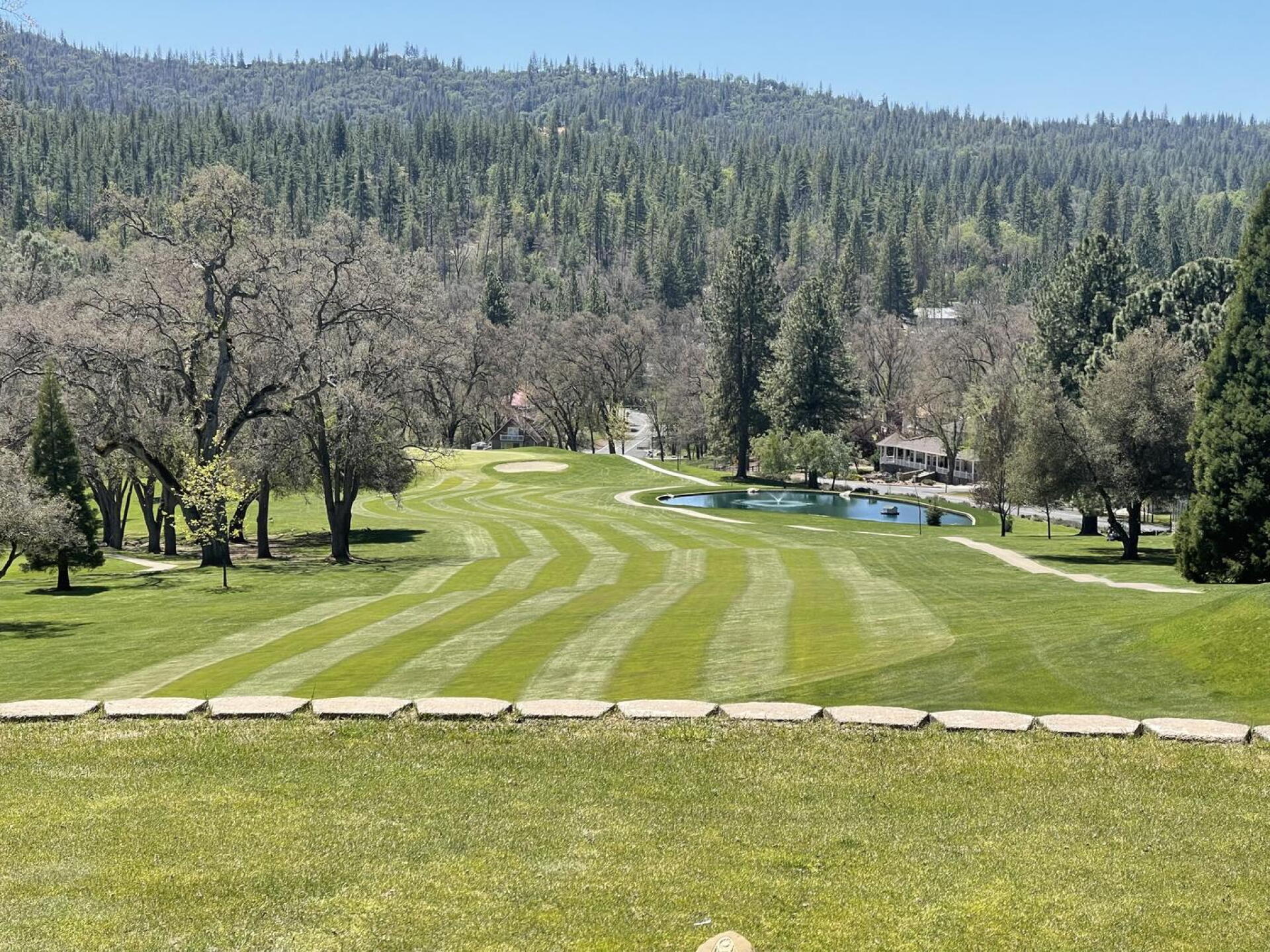 1st Tee View (Photo submitted by u1508997981 on 05/16/2022)