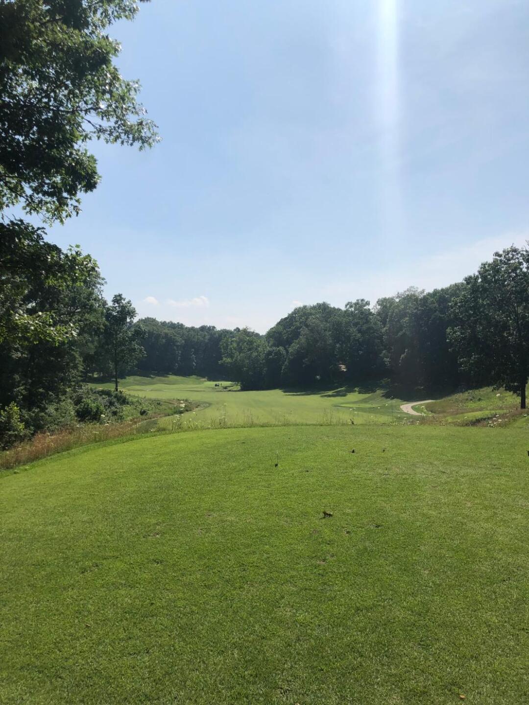 (Photo submitted by Sandoman on 07/06/2019)