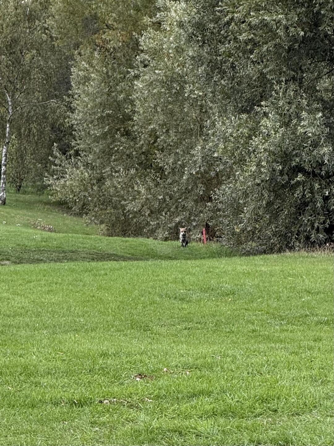 (Photo submitted by JeffM2002 on 09/26/2025)