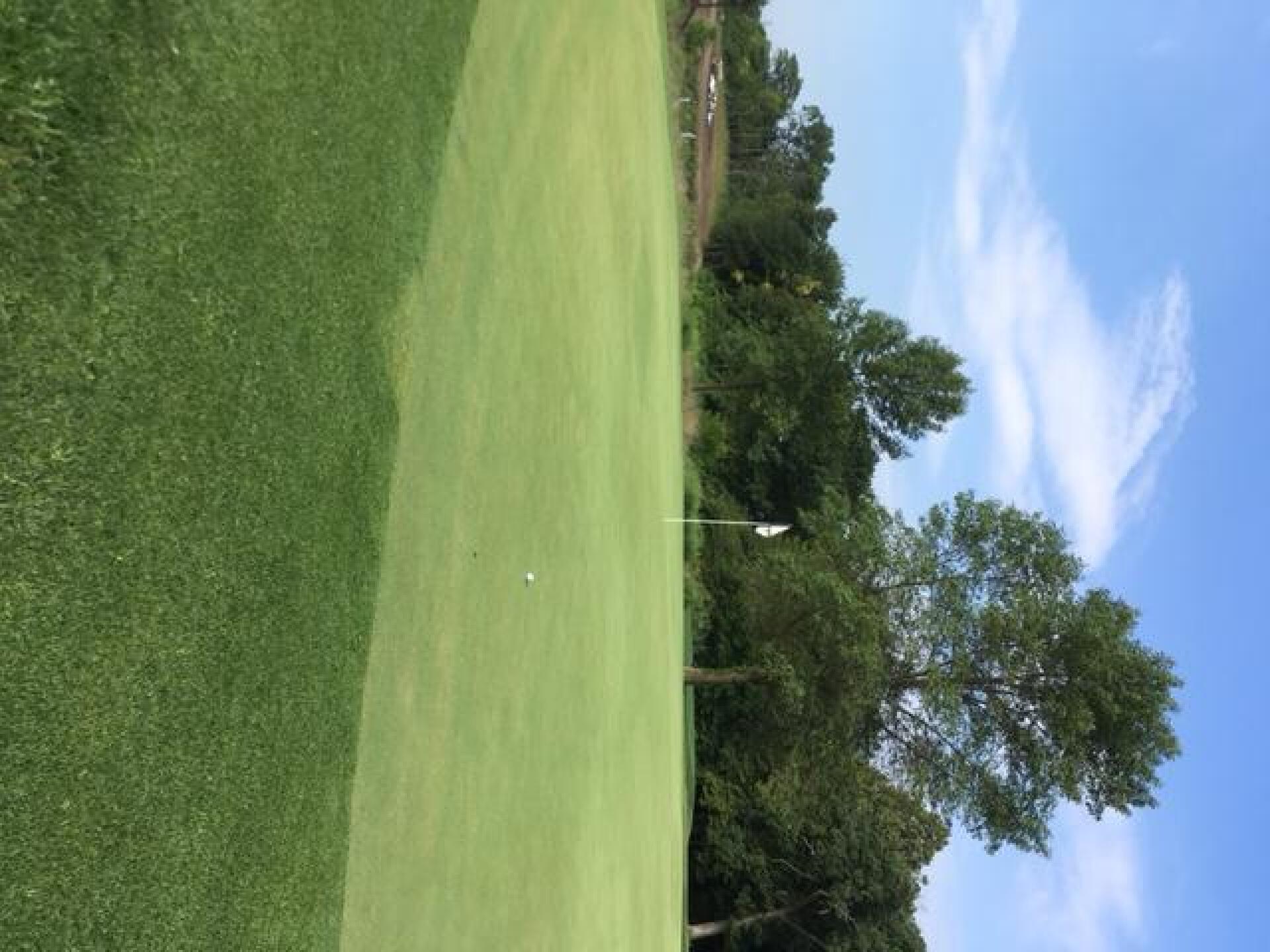 birdie time (Photo submitted by GolfDSMdotcom on 05/23/2017)