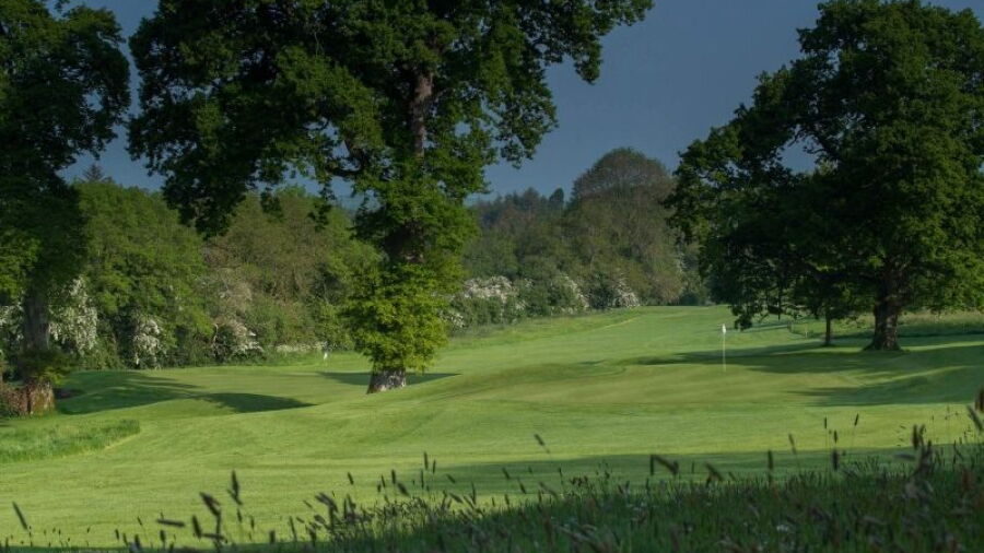 Rathsallagh GC: #17