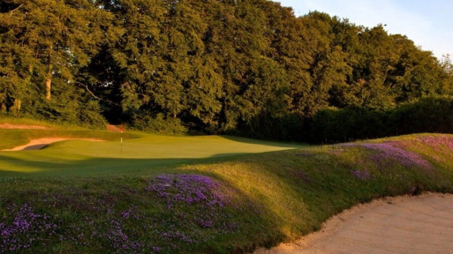 Leckford GC