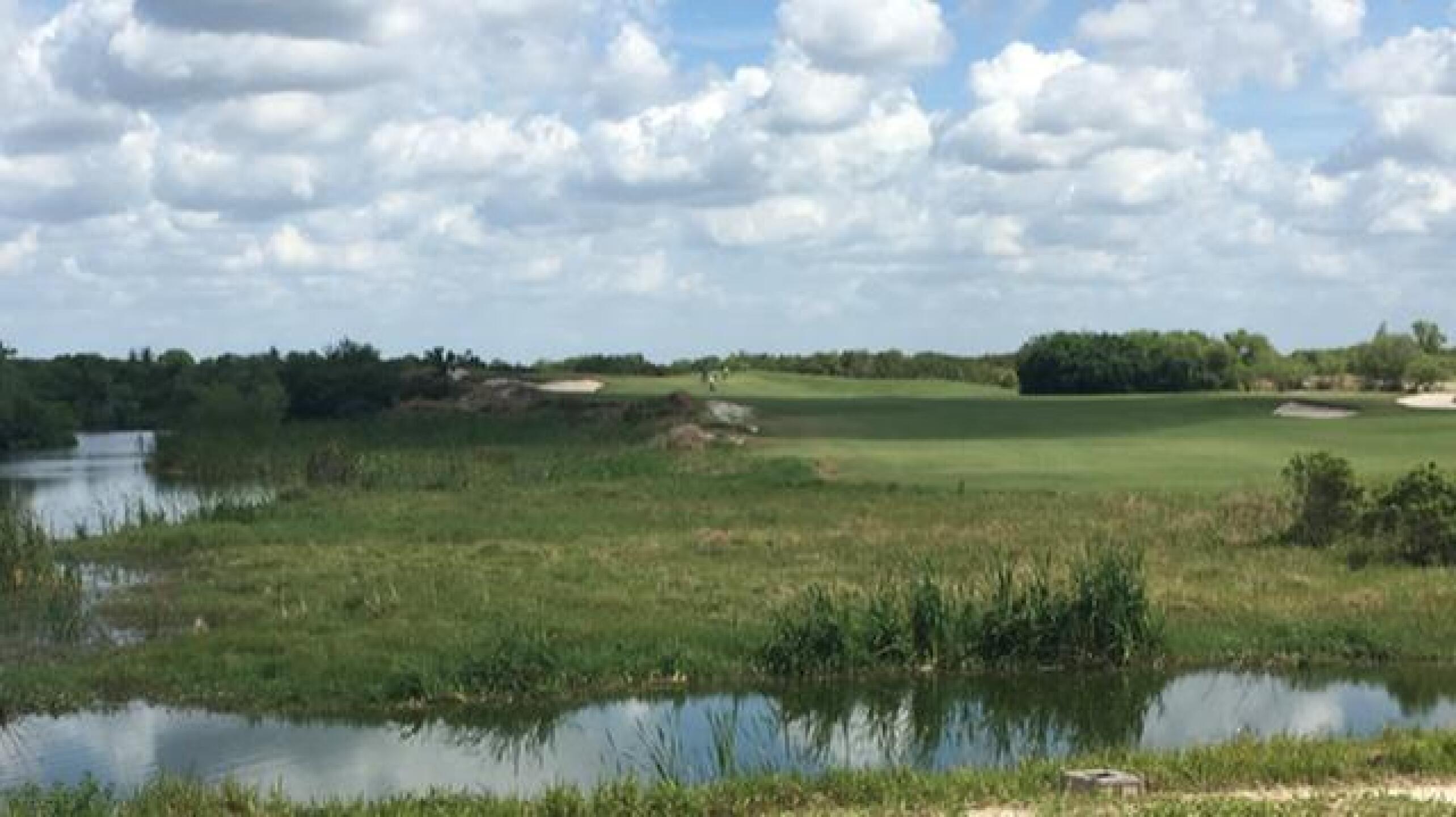 (Photo submitted by LICC on 03/19/2019)