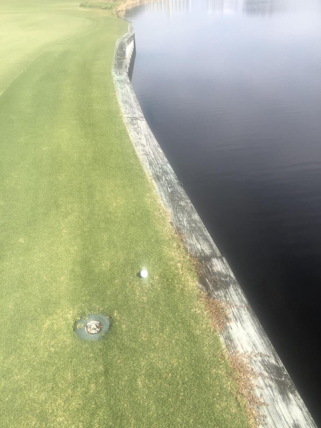 Just can’t lose this ball ! (Photo submitted by Thomas9558667 on 11/01/2021)