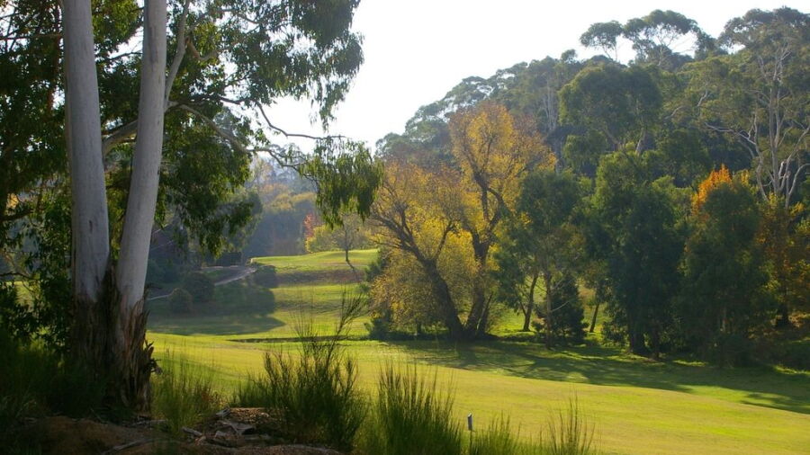 The Stirling GC
