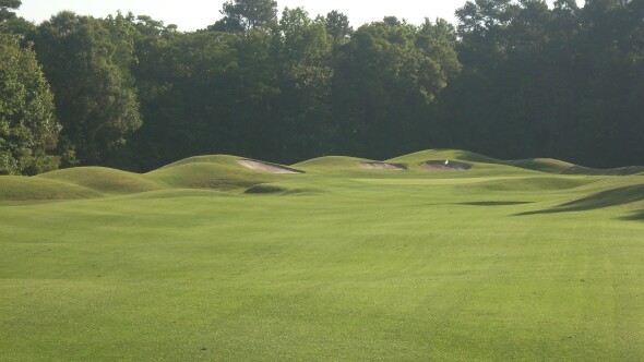 Avocet Course at Wild Wing Golf Plantation - hole 1