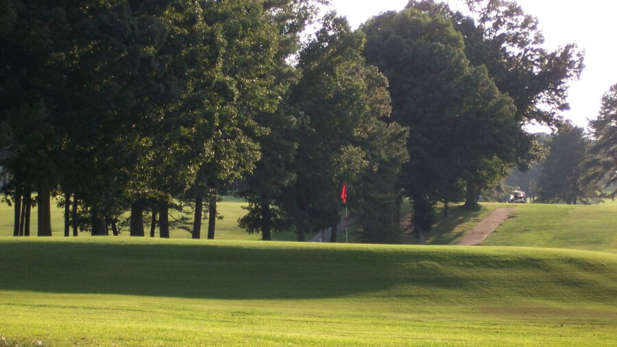 Amelia CC: #7