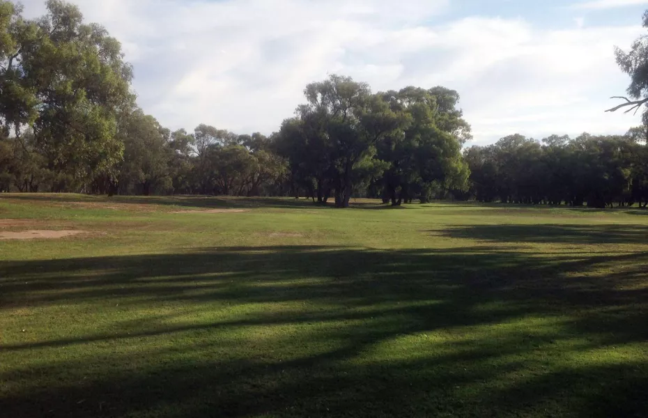 Nyngan GC
