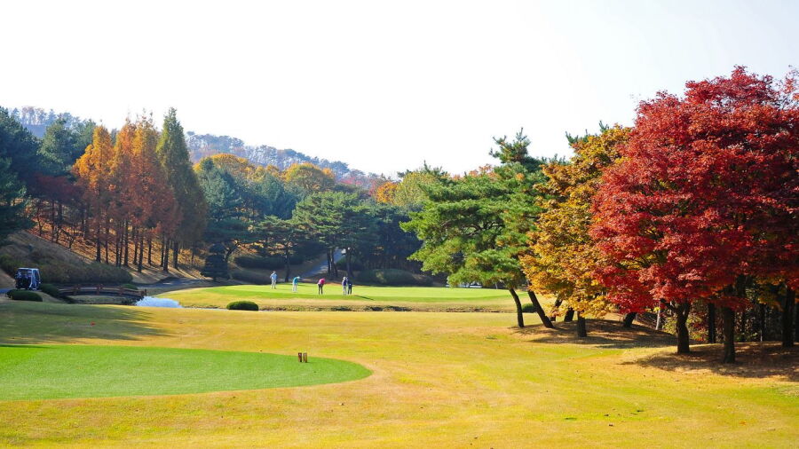 Tee Cloud CC