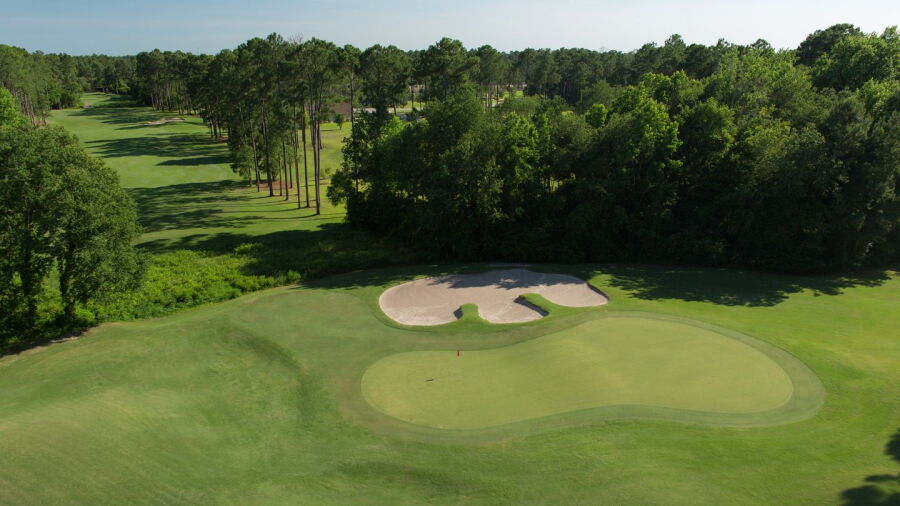 Wild Wing Plantation - Avocet: #4