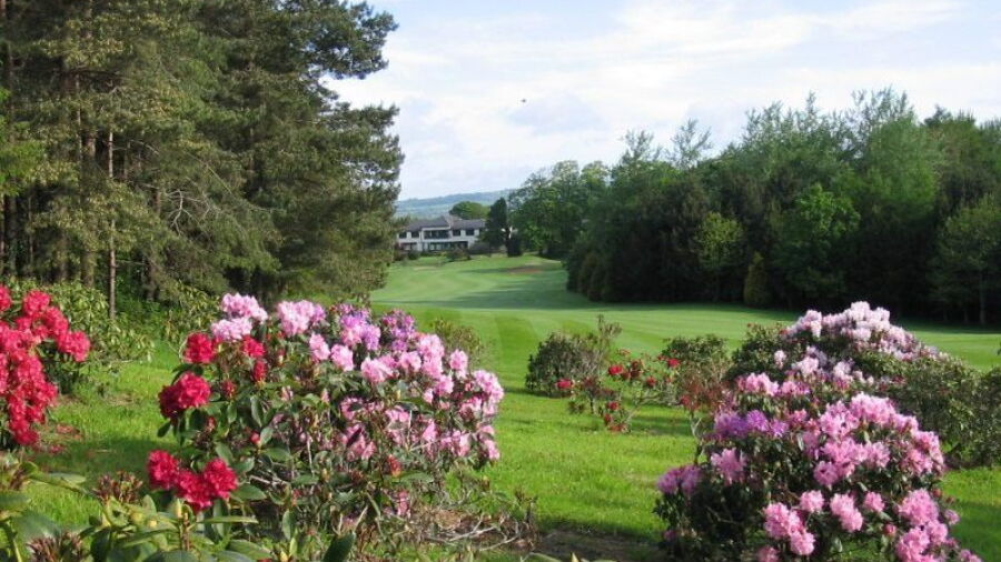 A view down the fairway