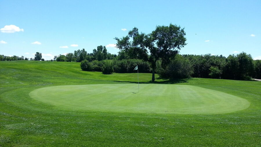Sherwood Forest CC