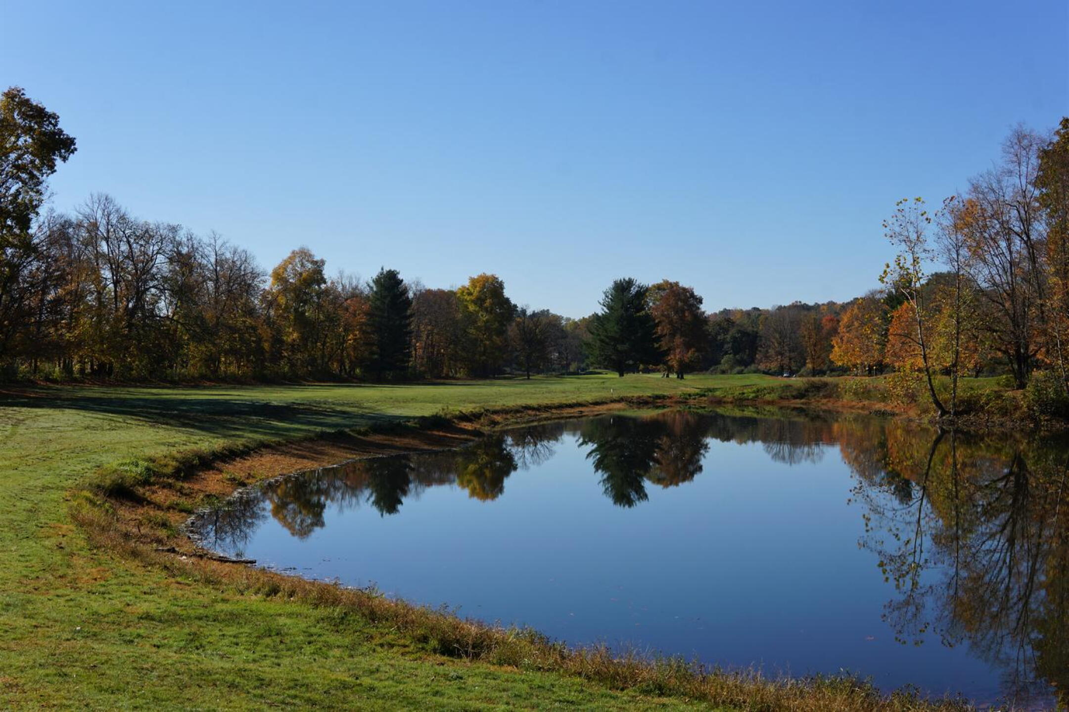 The fourth fairway is sided by a long pond that does not favor slicers. (Photo submitted by AptlyLinked on 10/23/2022)