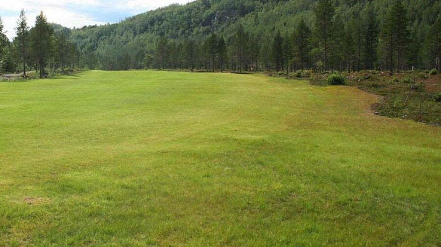 Alta GC