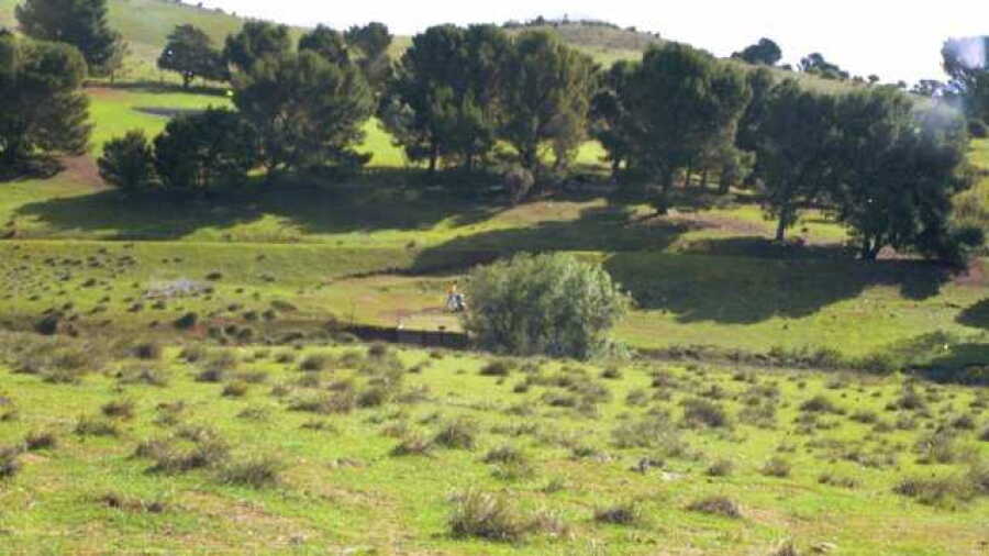 Eudunda GC