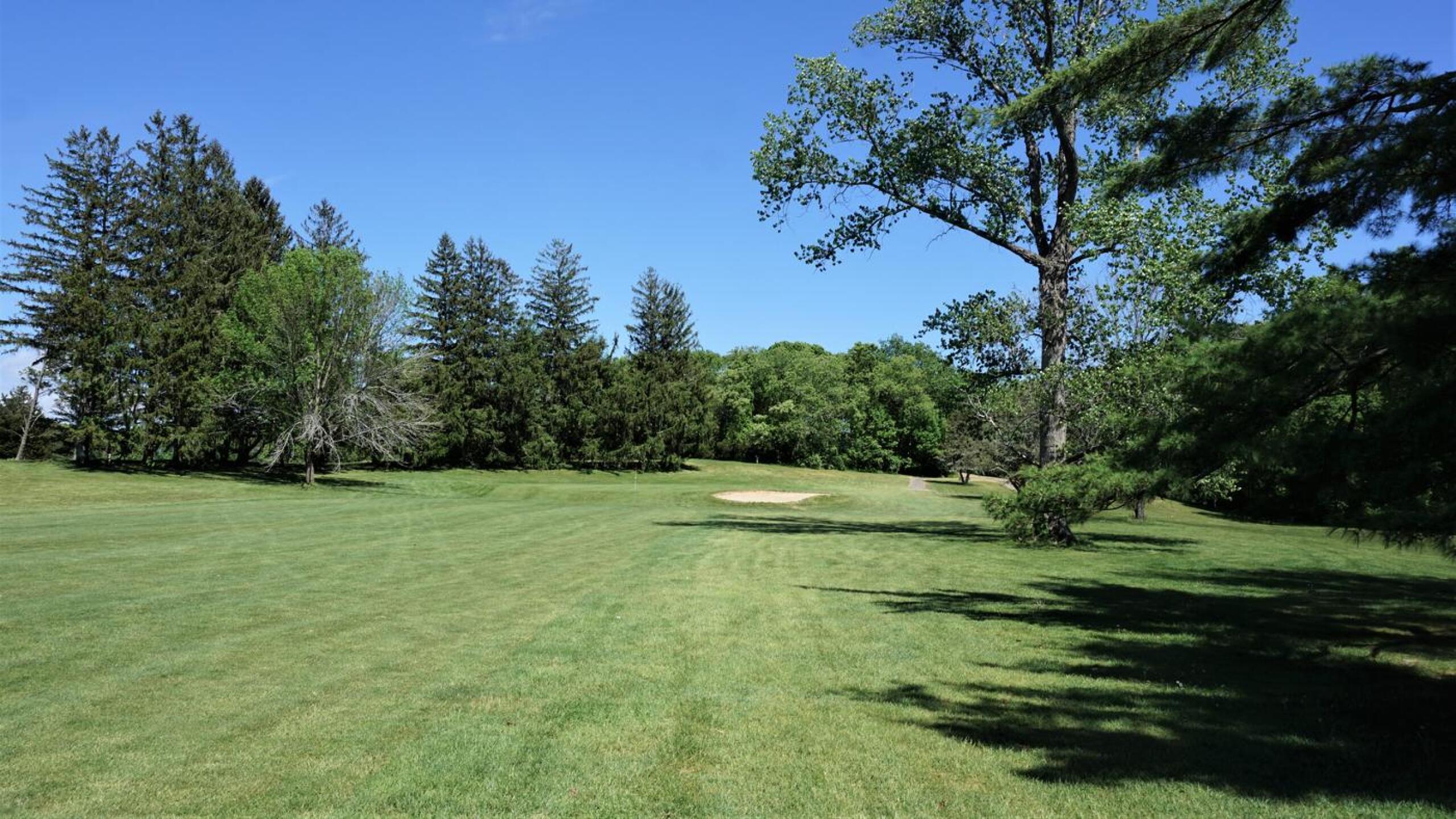 The third may hinder your approach if you veer right: this impressive tree (an elm?) may play a role in what you score. (Photo submitted by AptlyLinked on 05/25/2021)