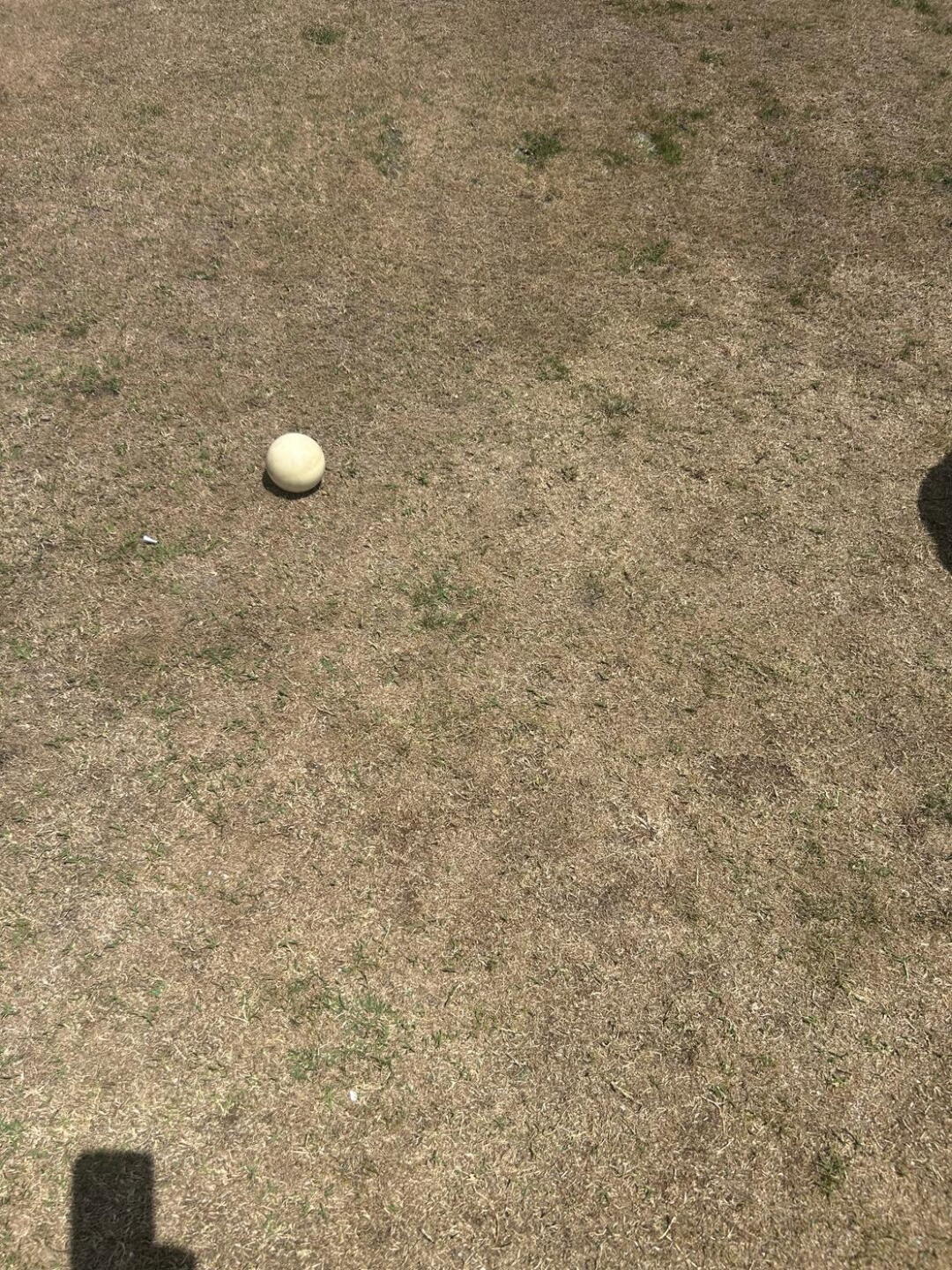Typical tee box. No grass (Photo submitted by Oprnole on 04/25/2026)