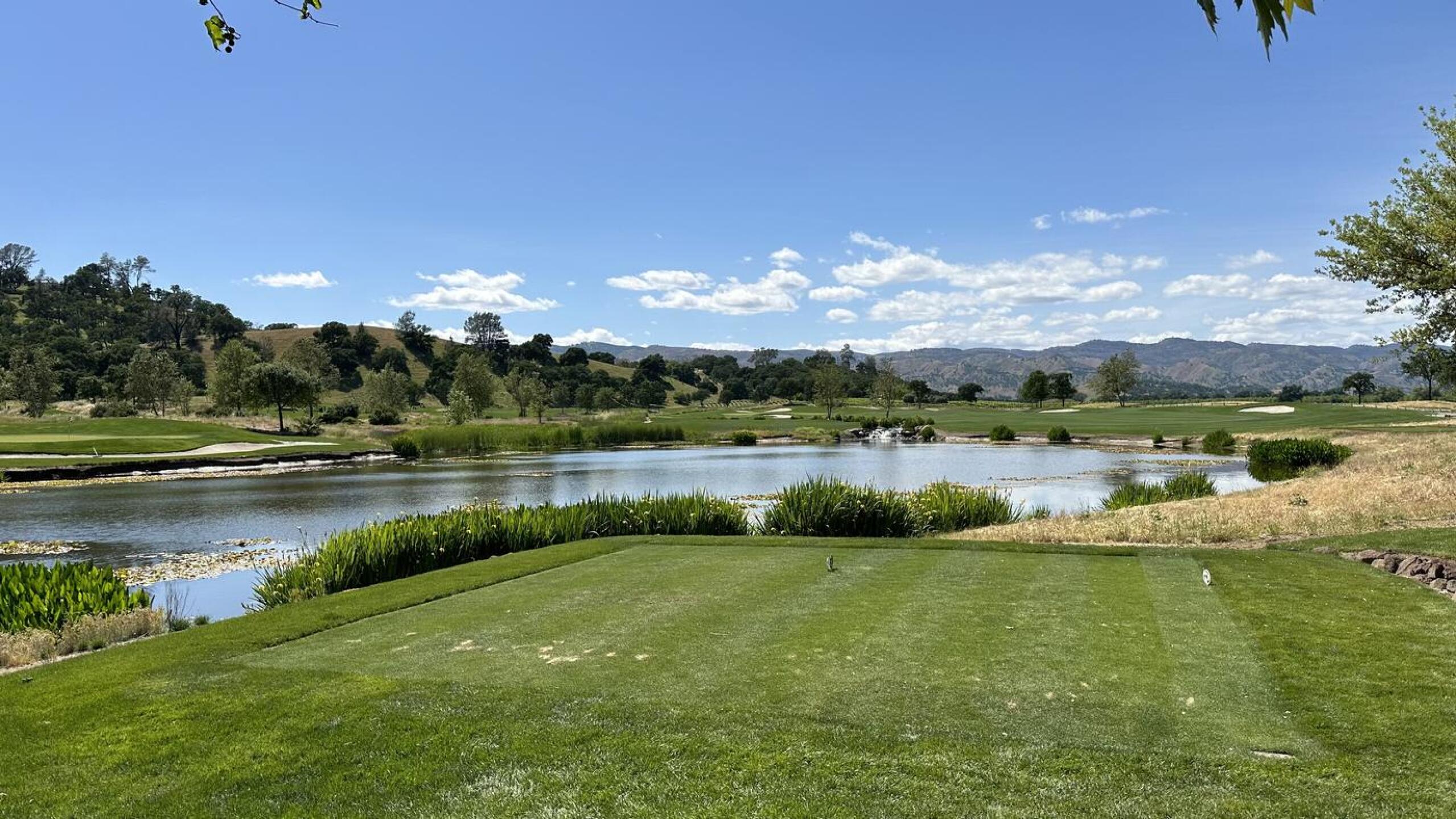 (Photo submitted by bejuma on 05/09/2024)