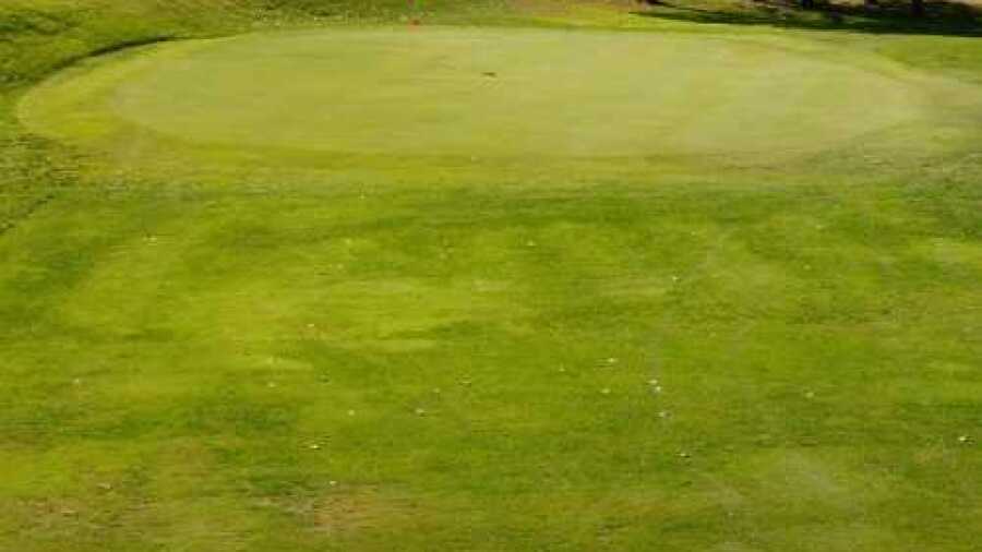 El Zagal Par 3 GC: #7