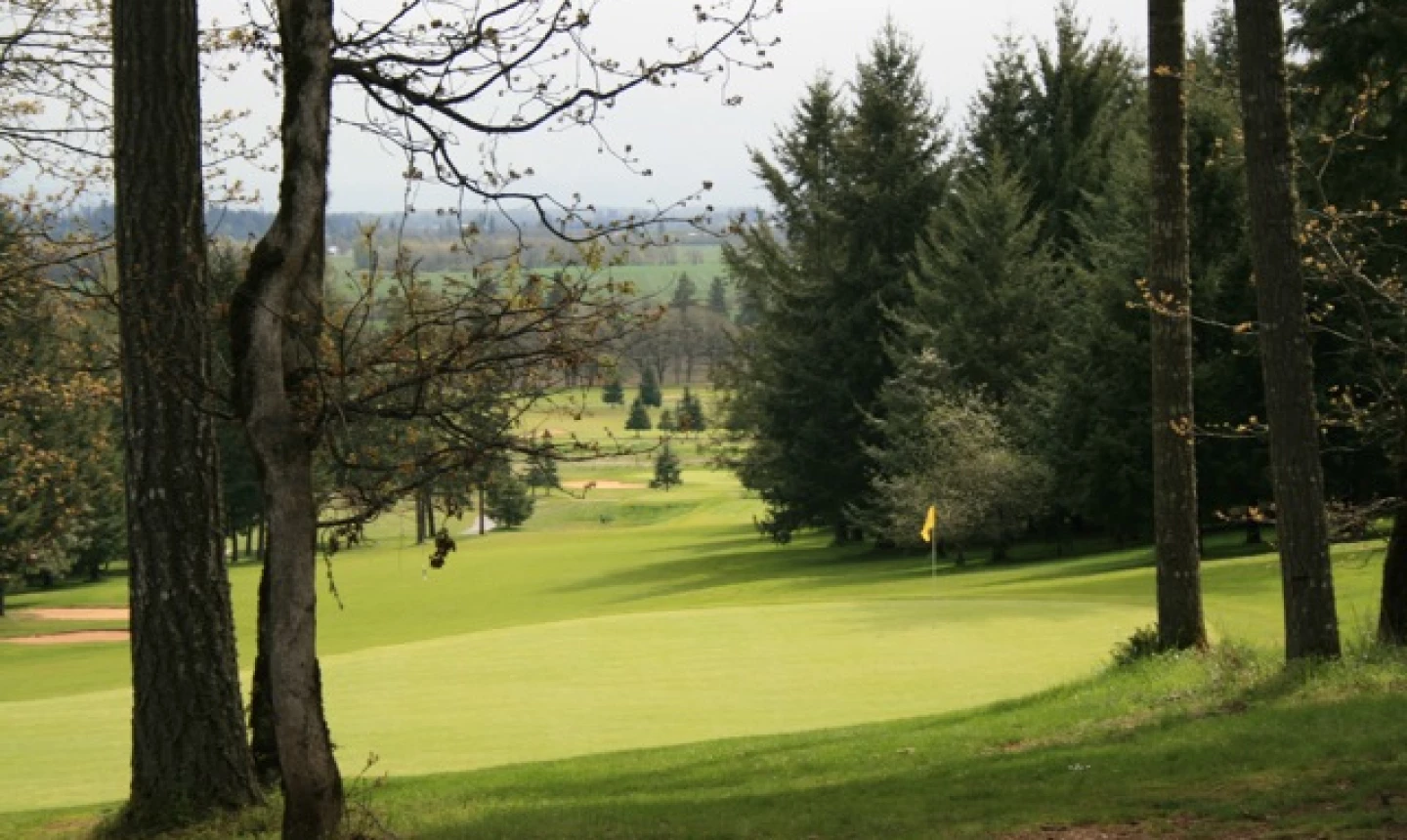 Diamond Woods Golf Course - No. 14