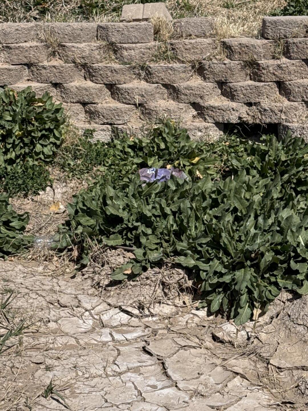 (Photo submitted by CoachOTJ2 on 02/22/2026)