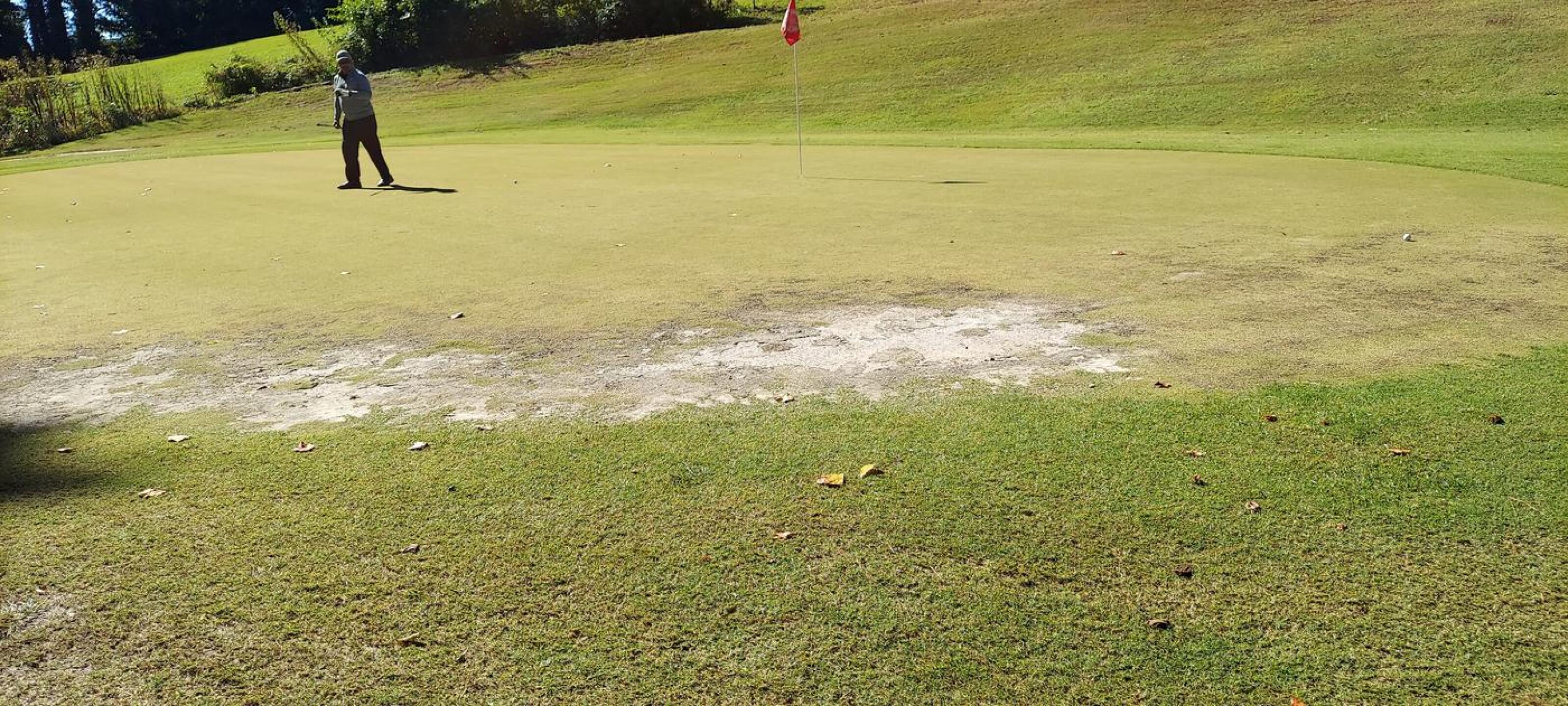 (Photo submitted by u621076289 on 10/07/2022)