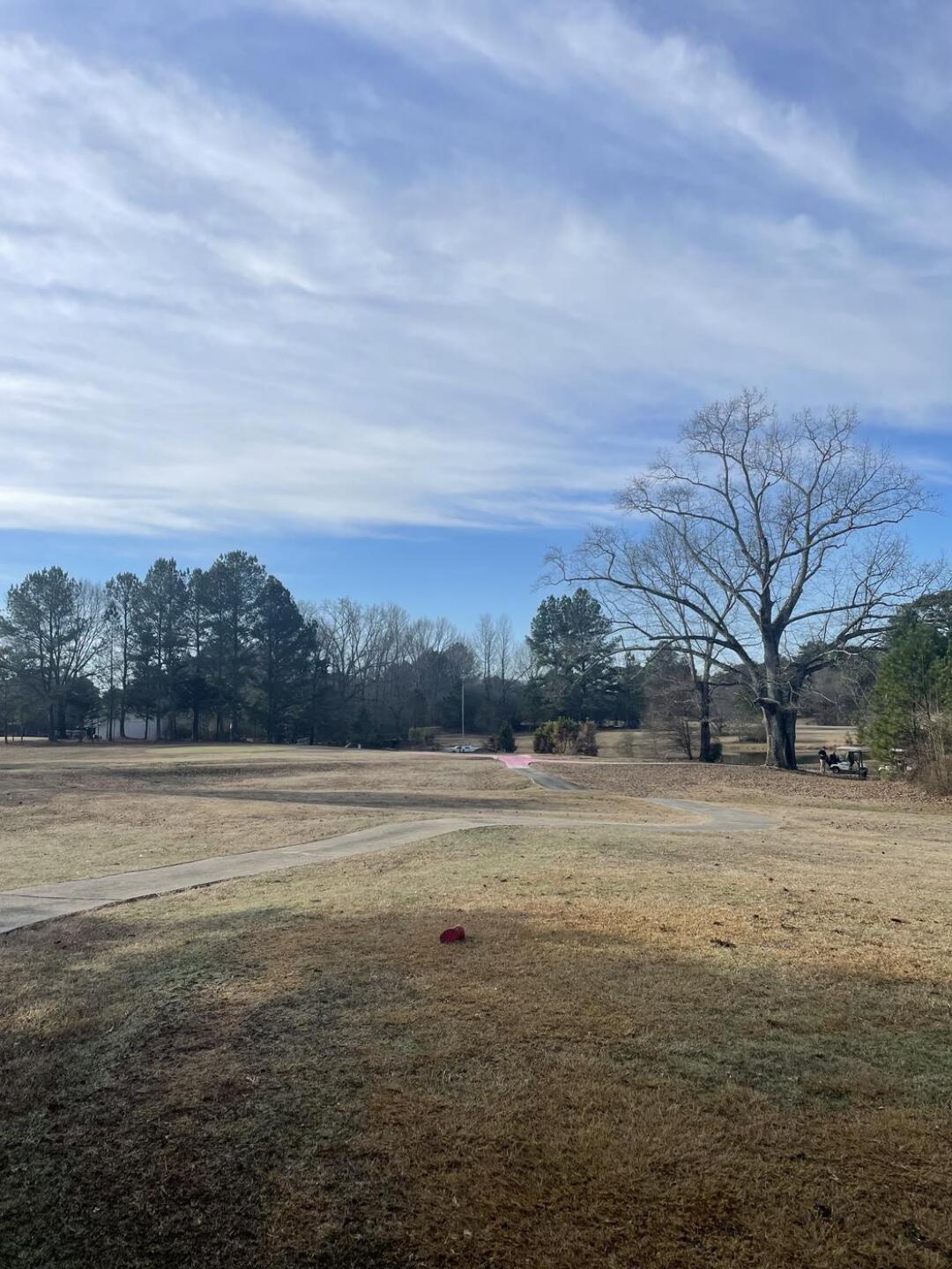 What we actually saw in person (Photo submitted by d3fife on 02/05/2024)