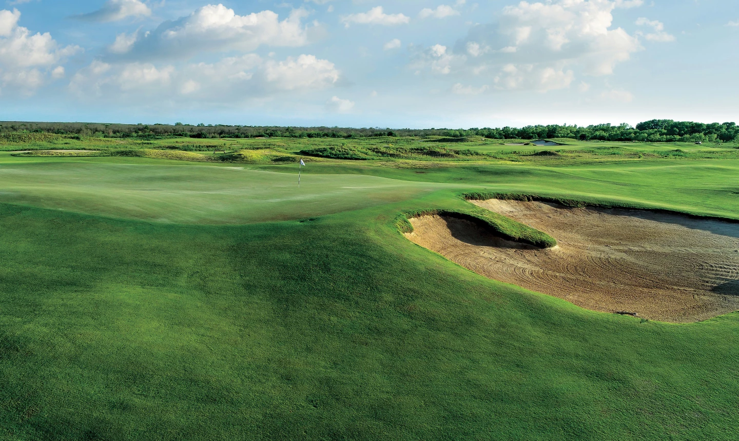 Trinity Forest - no. 2