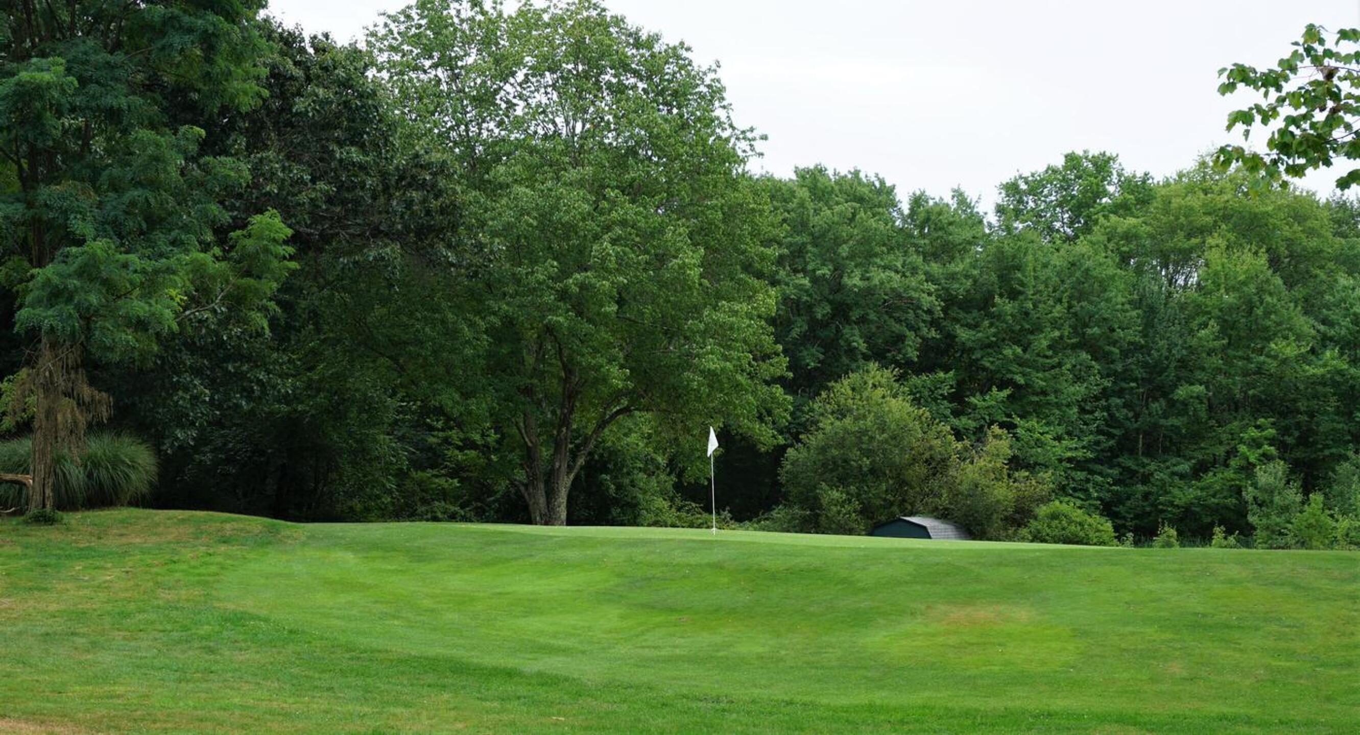 At five, one key factor—this large upslope—makes driving this green quite tricky. Other problems are the green’s smallness and a large bunker to its left. (Photo submitted by AptlyLinked on 08/14/2020)