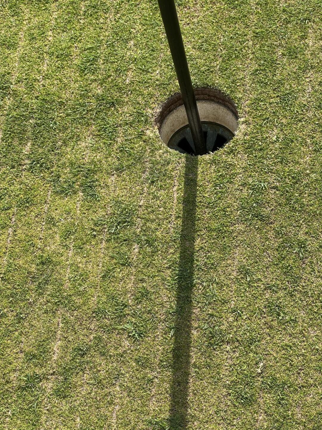 The greens were almost all in the same condition. (Photo submitted by Popol25 on 04/28/2026)