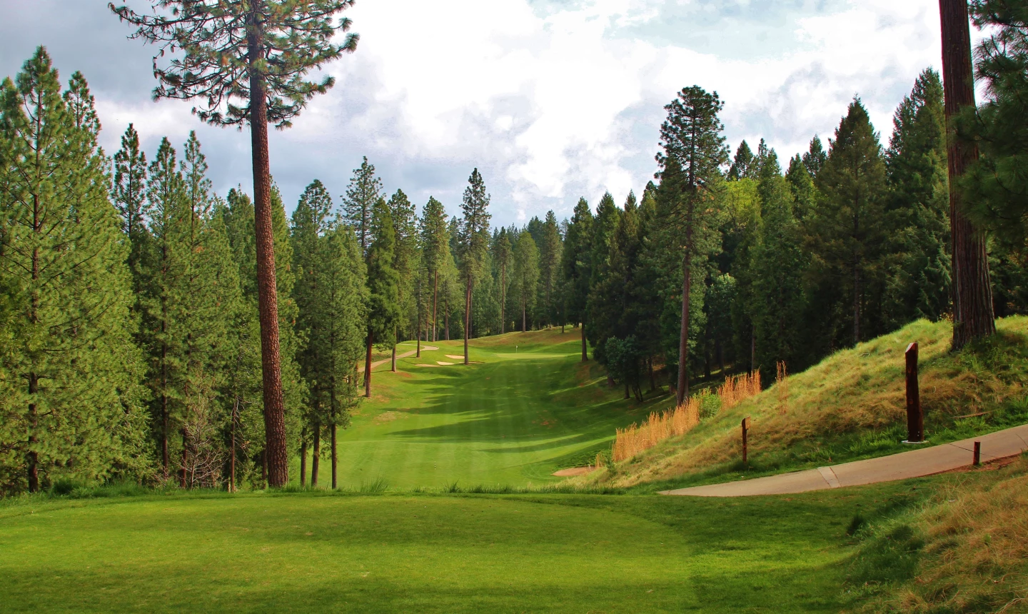 Apple Mountain Golf Resort - hole 8 